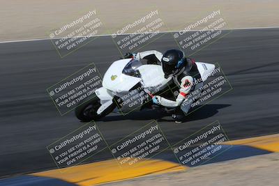 media/Feb-04-2023-SoCal Trackdays (Sat) [[8a776bf2c3]]/Turn 6 Inside (1025am)/